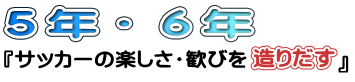 �T�b�J�[�̊y�����E���т𑢂肾��